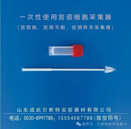 一次性宮頸樣本采集器